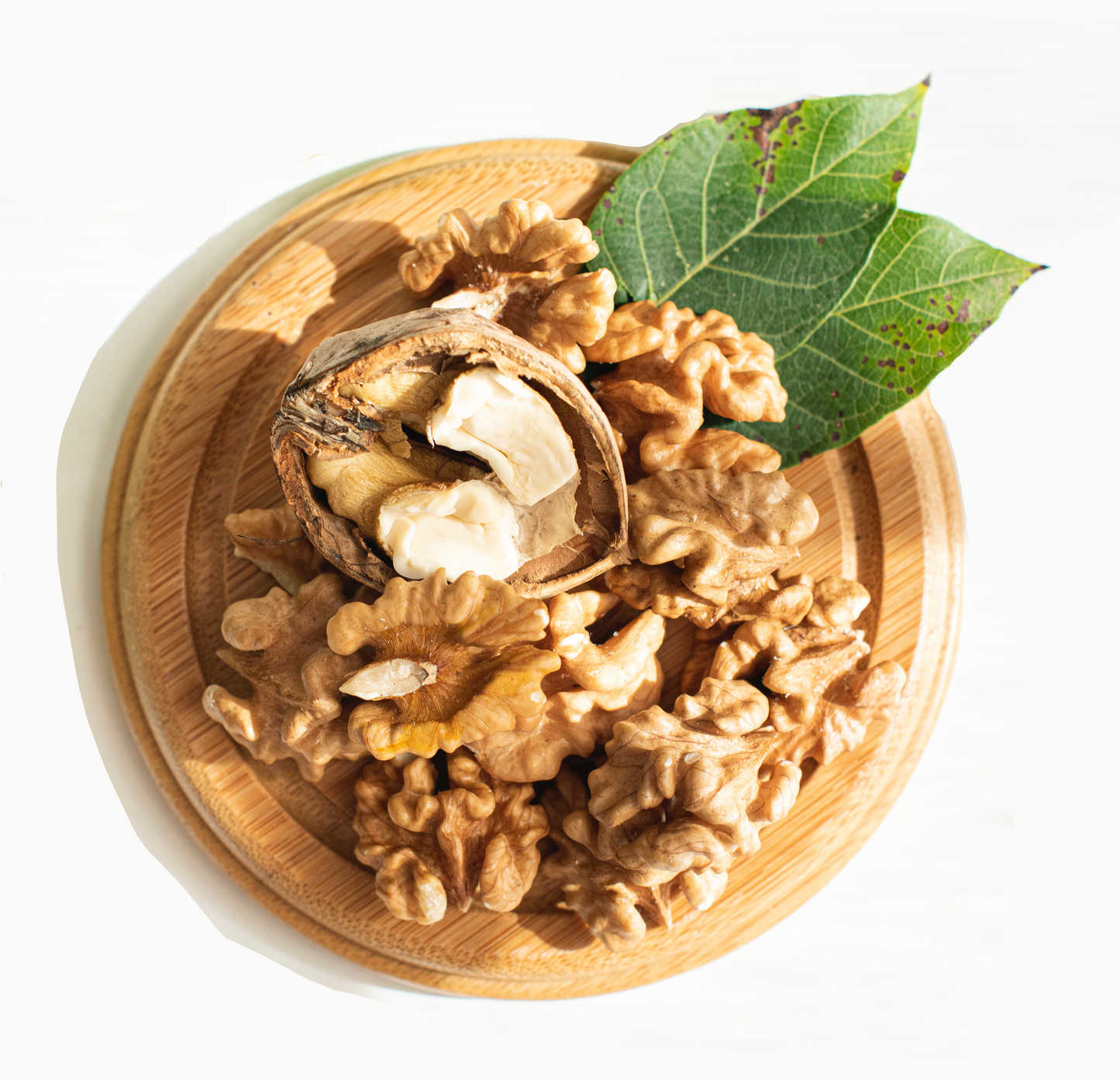 B2B: BIO Walnuss natur - Bruch